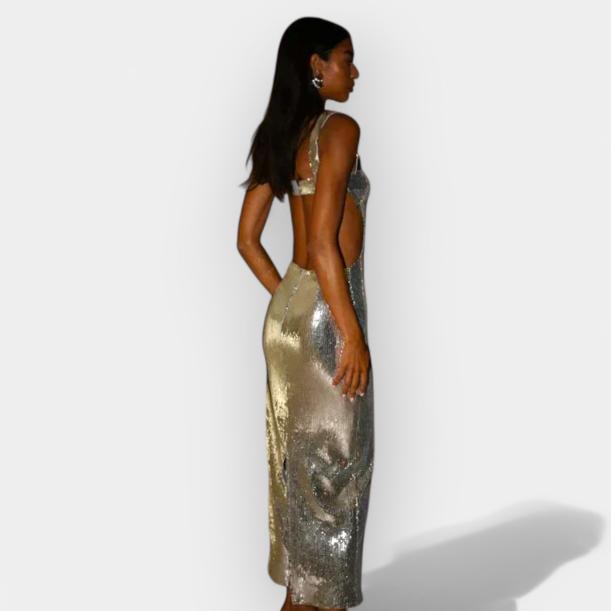 Shiny Maxi Dress