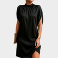 Stylish Dress That Highlights the Silhouette